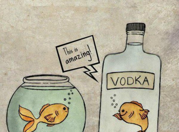 5 бутылок водки