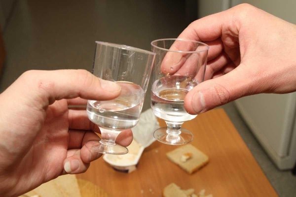 чокаются рюмками с водкой