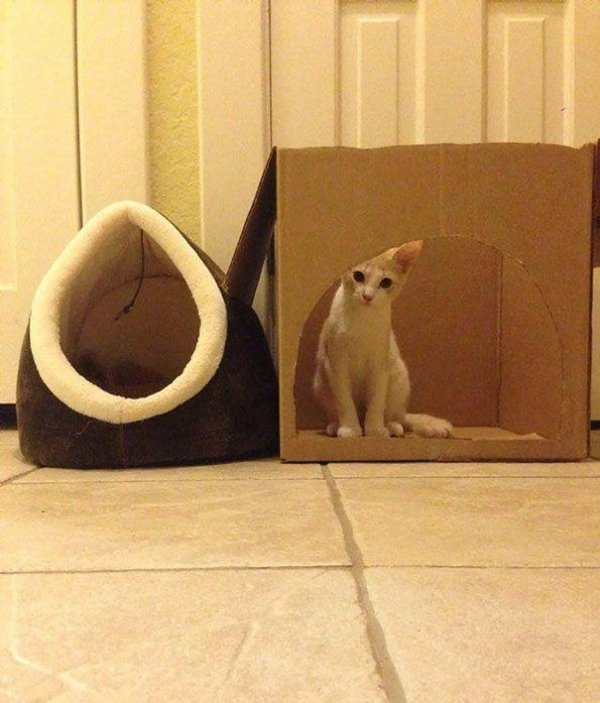 домик для котика