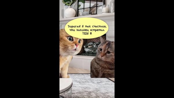 анекдоты шутки