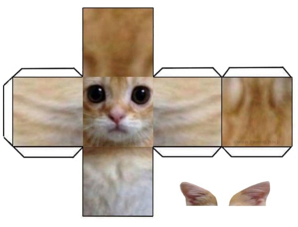 квадратные котики из бумаги