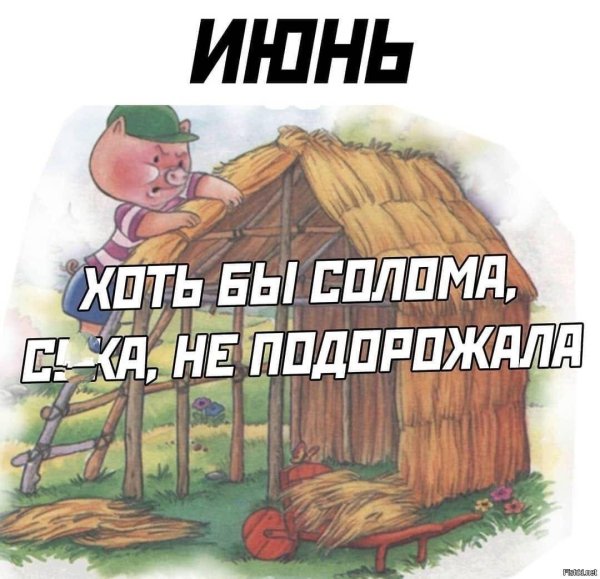 хоть бы солома не подорожала