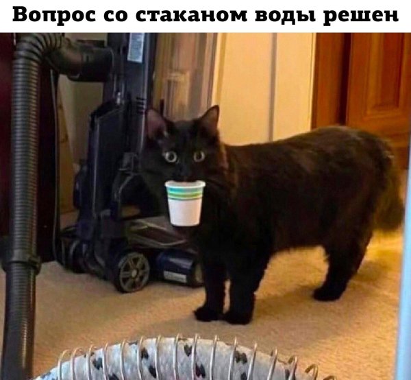 приколы юмор