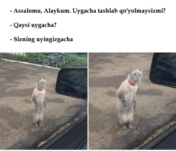 позитивные мемы