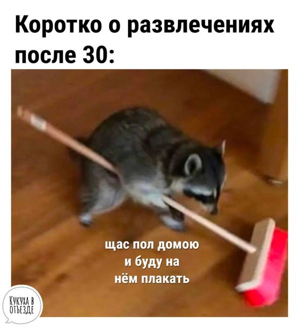 енотполоскун моет пол