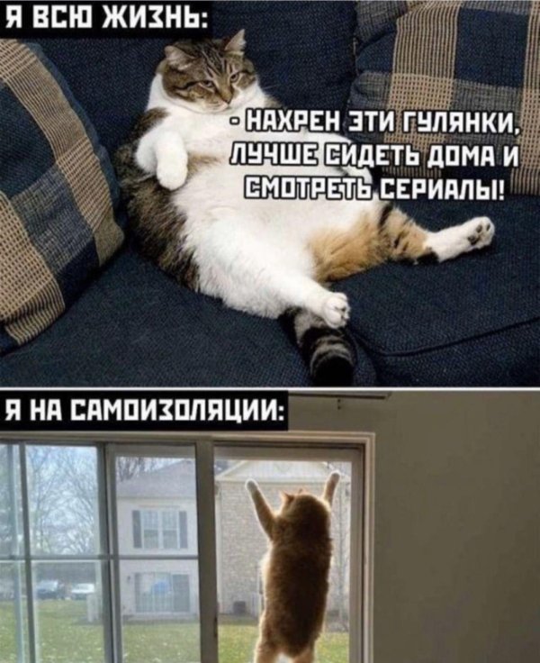 пятница приколы