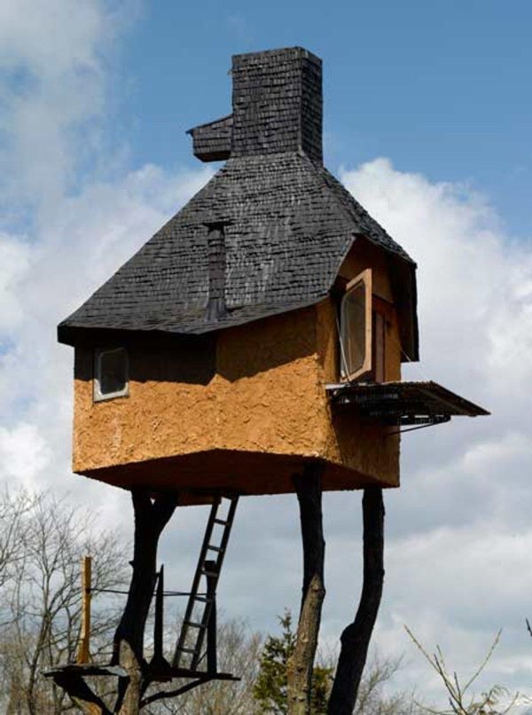 unique tree house