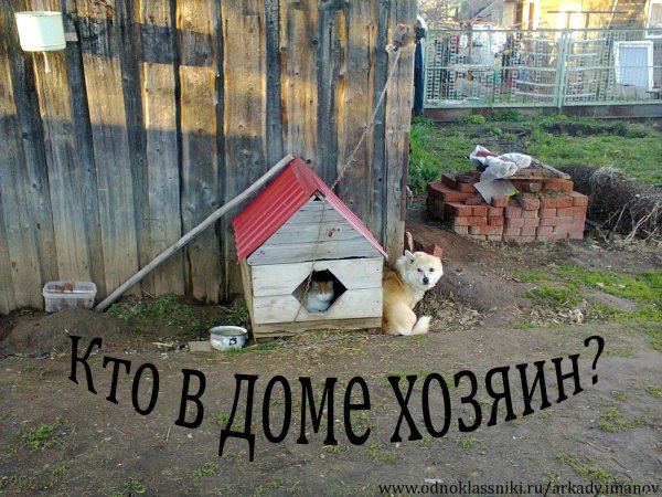 хозяева дома