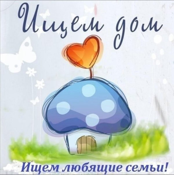 сказочные домики