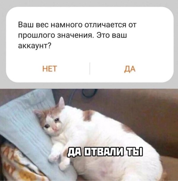 жизненные мемы
