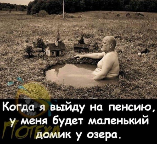 вот выйду на пенсию и будет у меня маленький домик у озера