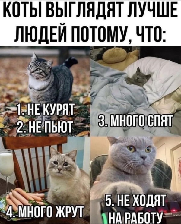юмор приколы