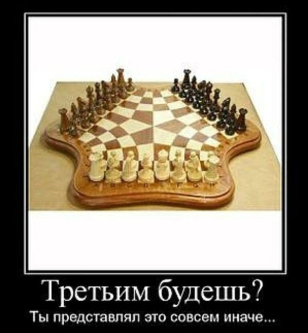 шахматы юмор