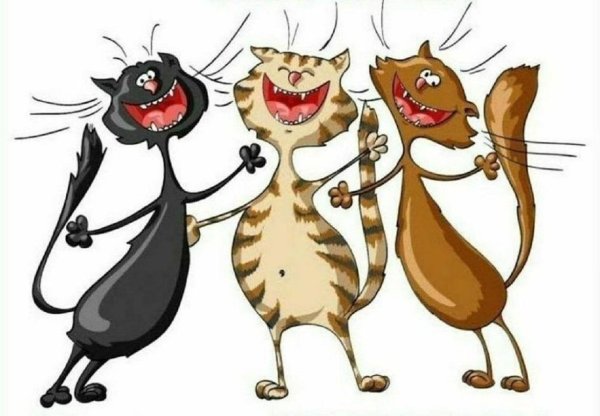 поющие котики