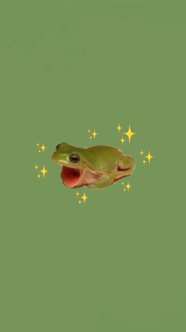 фон лягушки