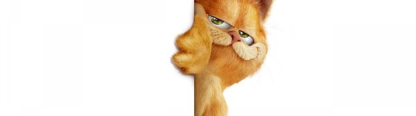 кот гарфилд