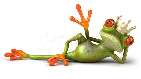 жаба король