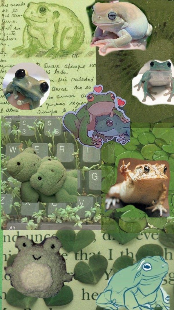 рисунки милых лягушек