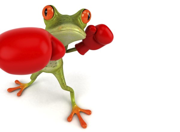 бокс с лягушками