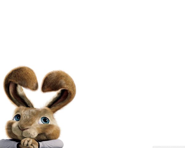 кролик кролик