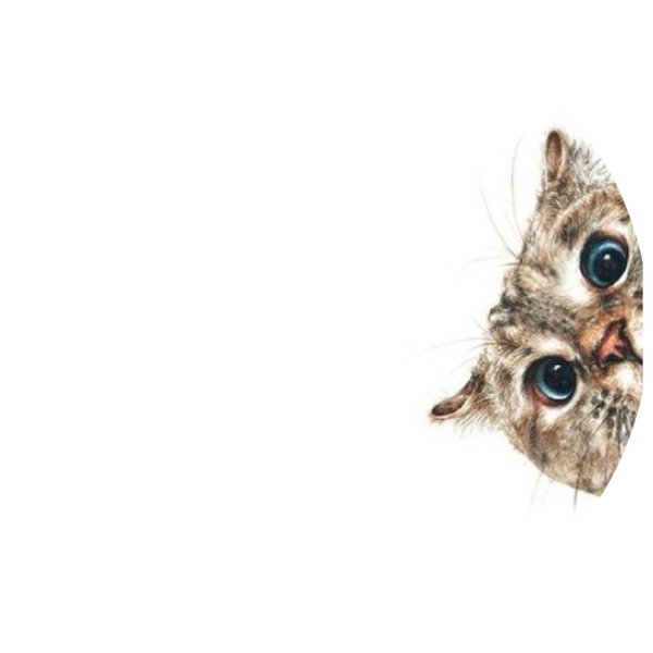 животные фон