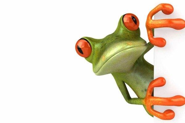 лягушка выглядывает