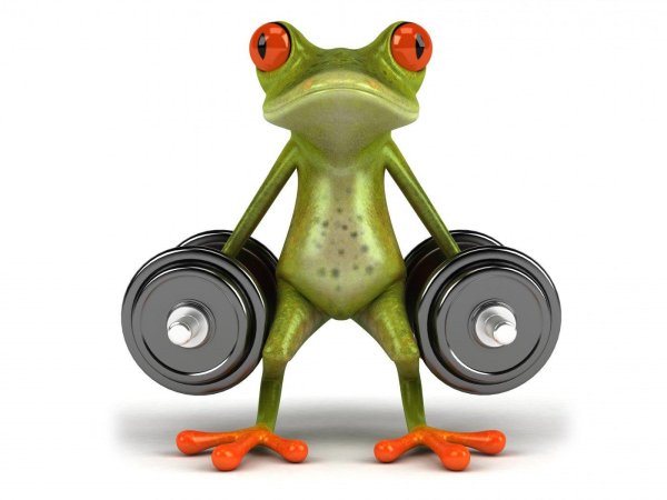 лягушонок в очках