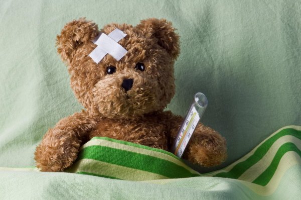 мишки тедди