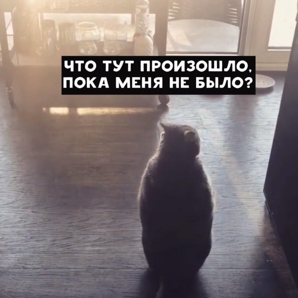 вышел из отпуска