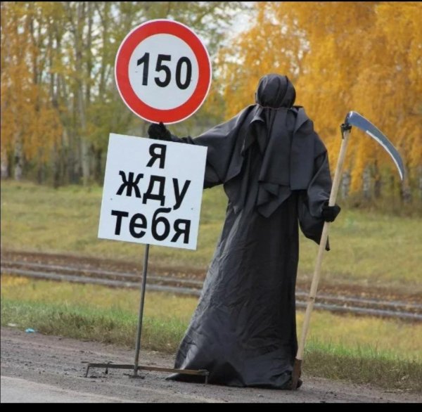 лихач я жду тебя