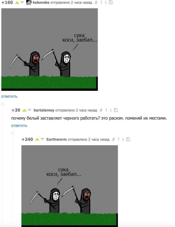 cynic mansion косари