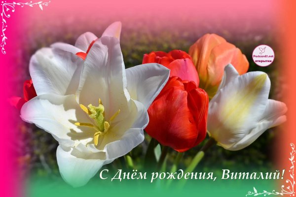 с днем рождения виталий