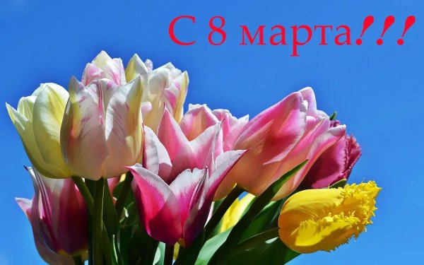 цветок к 8 марта