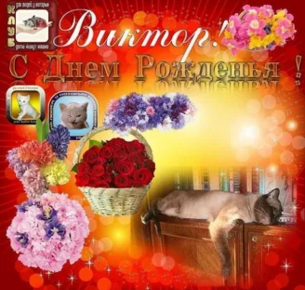 Витя с днюхой