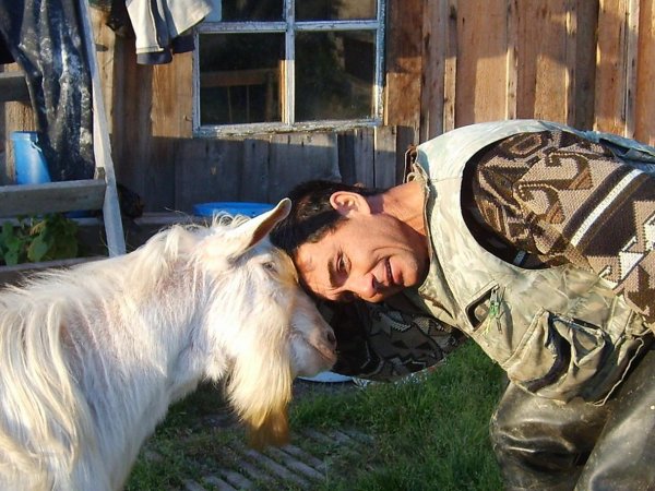 коза в деревне