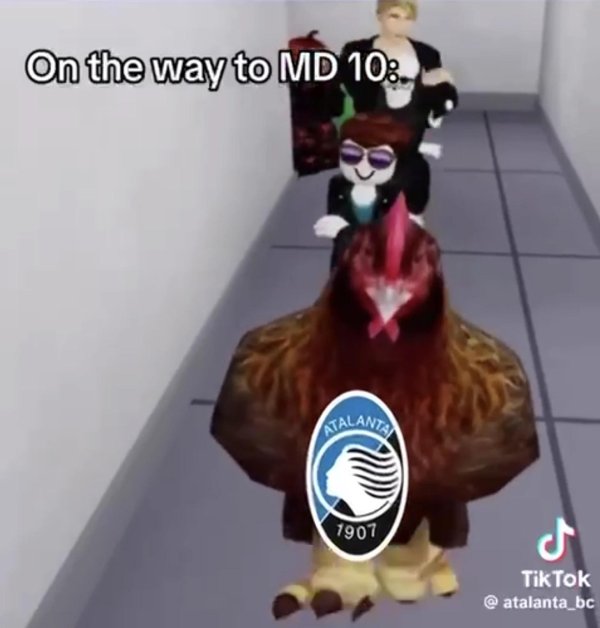 большая курица