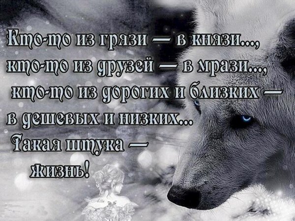 Про любовь со смыслом
