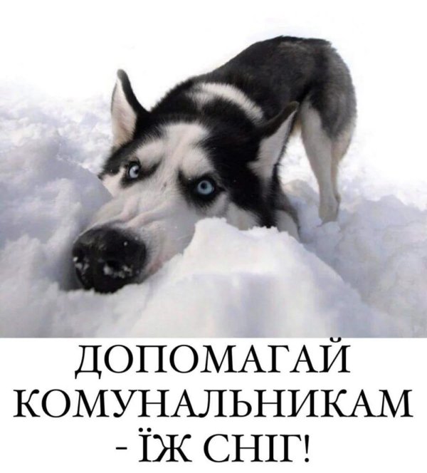 Помогай весне ешь снег