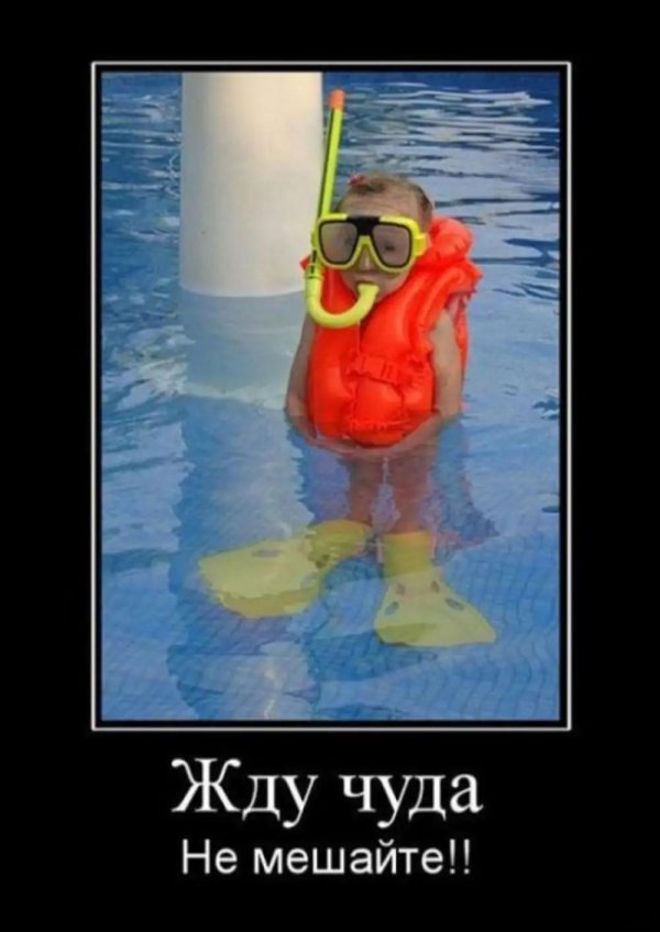 бассейн демотиваторы