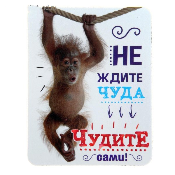 чудите сами