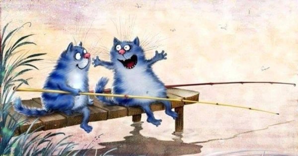 синие коты рины зенюк