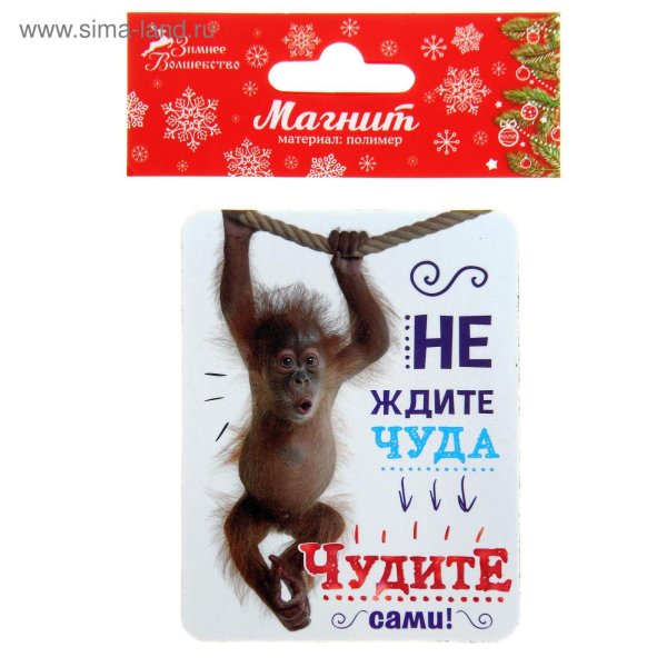 обезьяна на ветке