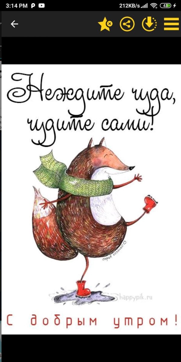 яна качанова иллюстратор