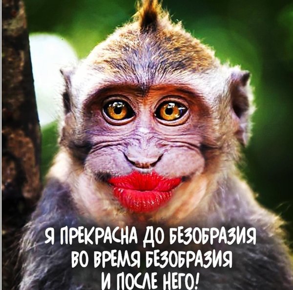 Красота