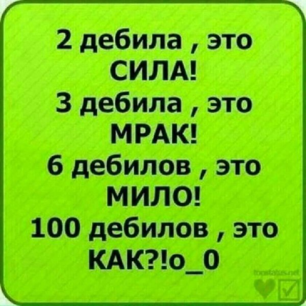 2 дебила