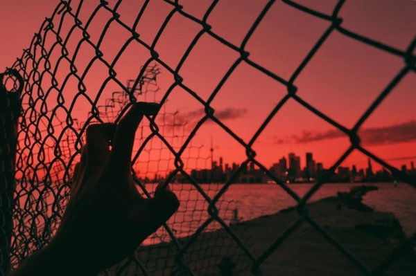 забор сетка