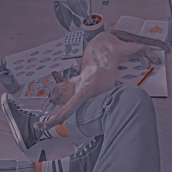 джулл эстетика