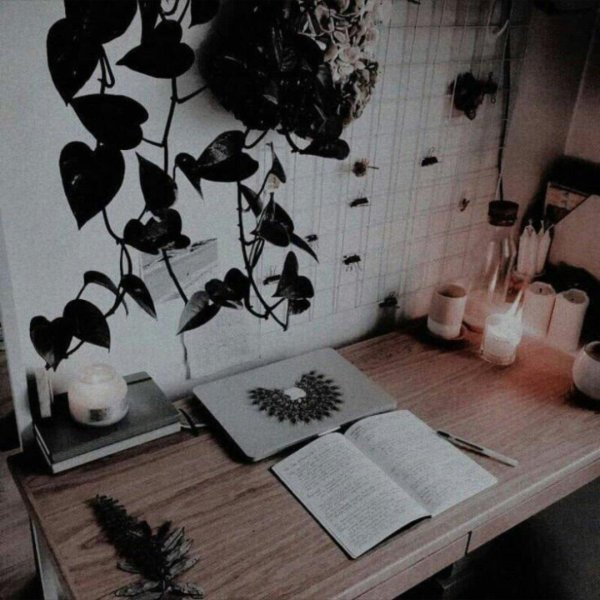 эстетика комнат