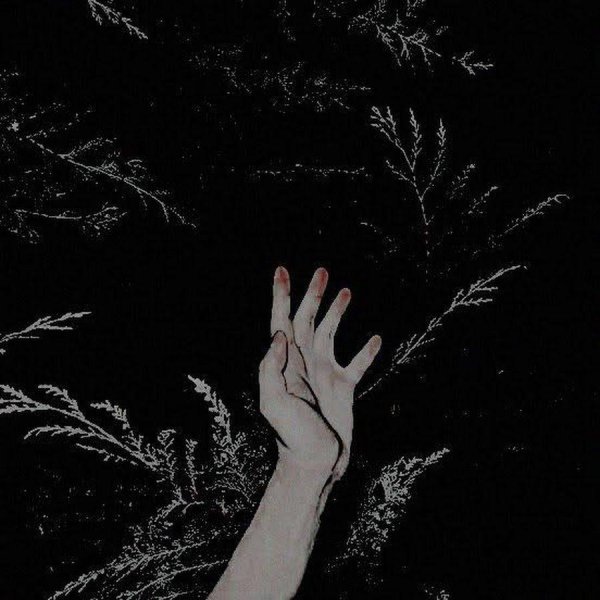 темная эстетика