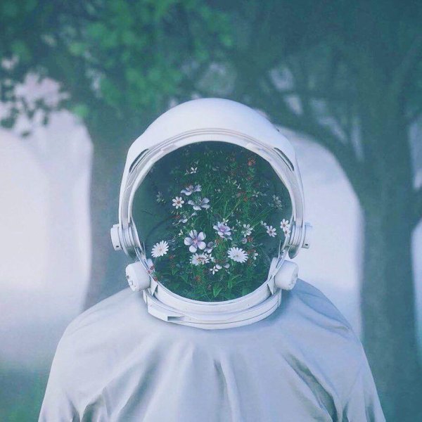 картина космонавт